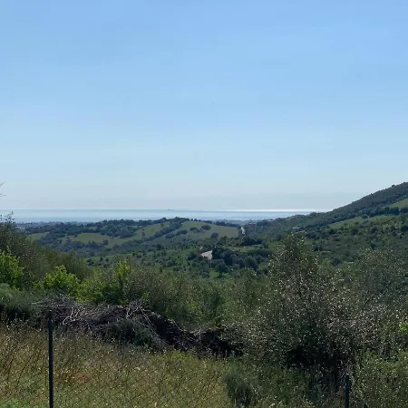 Villetta Con Piscina Privata Budoniaffitti
